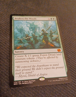 MTG - Awaken the Woods - The Brothers' War - NM - Image 1