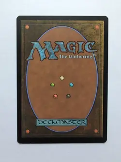 MTG Delaying Shield (ODY) Odyssey Regular Rare 17/350 - Image 2