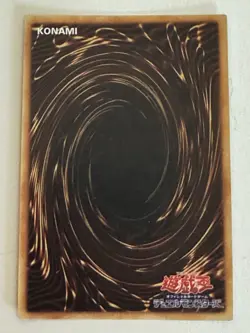 SET SAIL FOR THE KINGDOM YuGiOh YU GI OH Custom Anime Collectible Card - Image 2