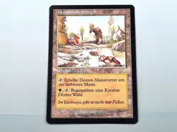 MTG - URZA'S DESTINY (BB/'99) - YAVIMAYA HOLLOW (143) - Y.LICHTUNG /RARE/N.P./EX - Image 1