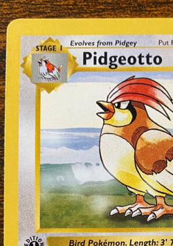 Pokemon TCG #22/102 Pidgeotto 1st Edition Base Set Shadowless LP - Image 2