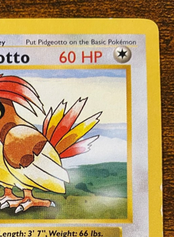 Pokemon TCG #22/102 Pidgeotto 1st Edition Base Set Shadowless LP - Image 3