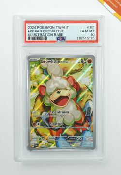 Pokemon PSA 10 Hisuian Growlithe #181 TWM IT Illustration Rare 2024 Italiano - Image 1