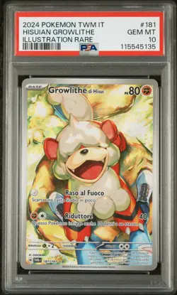 Pokemon PSA 10 Hisuian Growlithe #181 TWM IT Illustration Rare 2024 Italiano - Image 2