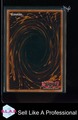 JUBEL DER ULTIMATE ALBTRAUM YU-GI-OH PTDN-DE008 1. AUFLAGE DEUTSCH - Image 2