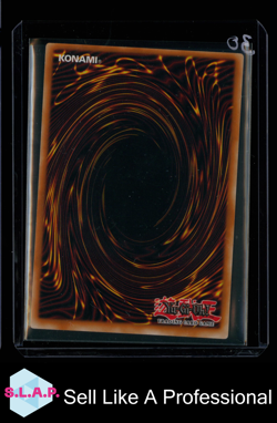RESHEF, DIE FINSTERE EXISTENZ YU-GI-OH TLM-DE033 1. AUFLAGE DEUTSCH - Image 2