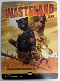 Wasteland (0023) Borderless Secret Lair SLC Encyclopedia, Magic MtG, Regular, NM - Image 1