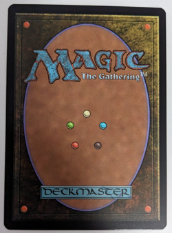Wasteland (0023) Borderless Secret Lair SLC Encyclopedia, Magic MtG, Regular, NM - Image 2