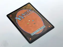 MTG - INVASION (BB/'00) - ELVISH CHAMPION (186) - CHAMPION D.ELFEN/RARE/N.PL./NM - Image 4