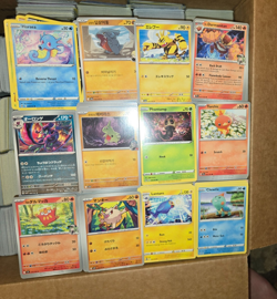 25 LB Pokemon Bulk Lot #3 Huge Box Est 7000 Cards 2020-25 **No Energy/Code** - Image 2