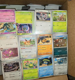 25 LB Pokemon Bulk Lot #2 Huge Box Est 7000 Cards 2020-25 **No Energy/Code** - Image 3