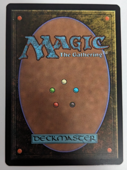 Myrel, Shield of Argive (0013) Secret Lair SLC Encyclopedia, Magic MtG, Regular! - Image 2