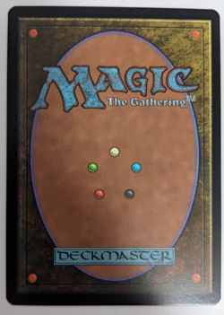 Urza's Saga (0021) Borderless, Secret Lair SLC Encyclopedia, Magic MtG, FOIL NM! - Image 2