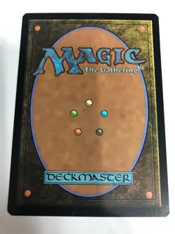 The Shire BORDERLESS, The Lord of the Rings, MTG LTR NM/M #345 - Image 2