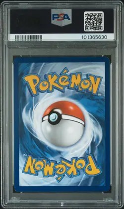 Pokemon 2023 Magikarp 203/193 Paldea Evolved Illustration Rare PSA 8 DE - Image 2