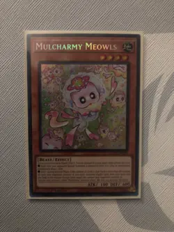 Yugioh! LP Mulcharmy Meowls - SUDA-EN025 - Secret Rare - 1st Edition Lightly Pla - Image 1