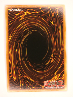 YuGiOh - Elder Entity N’Tss MAGO-EN026 - Gold Rare - 1st Edition - LP/NM - Image 2