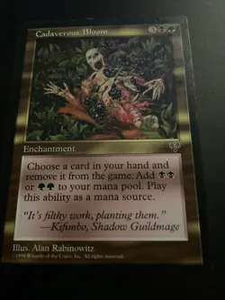 Cadaverous Bloom Mirage Regular - Image 1