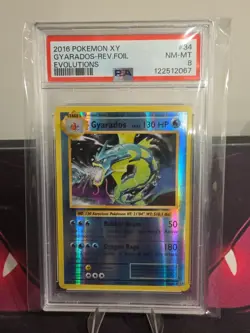 Gyarados 34/108 Pokemon TCG Evolutions Reverse Holo Rare PSA c8 NM-MT - Image 3