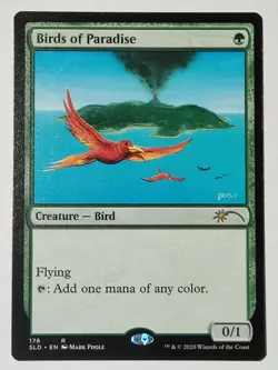 MTG Secret Lair Birds Of Paradise -SLD Artist Series: Mark Poole NM All-Natural - Image 1