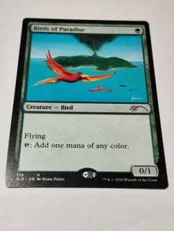 MTG Secret Lair Birds Of Paradise -SLD Artist Series: Mark Poole NM All-Natural - Image 2