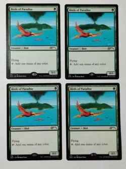 MTG Secret Lair Birds Of Paradise -SLD Artist Series: Mark Poole NM All-Natural - Image 3