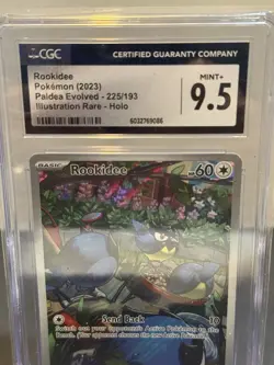 Pokemon Rookidee #225/193 English CGC 9.5 2023 Pokemon Paldea Evolved - Image 2
