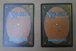 Scion Of Oona x 2 - Lorwyn - Magic: The Gathering (MTG) MP - Image 2