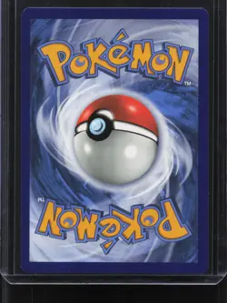 Charizard VSTAR - Promo SWSH: Sword & Shield Promo Cards SWSH262 NM - Image 2
