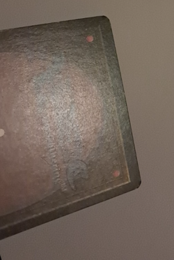 War Elephant MP Arabian Nights MTG Magic the Gathering - Image 5