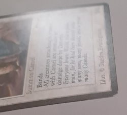 Camel LP/MP Arabian Nights MTG Magic the Gathering - Image 4
