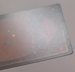 Camel LP/MP Arabian Nights MTG Magic the Gathering - Image 5