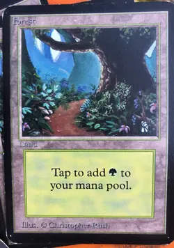 25 basic lands - Magic the Gathering (A) Alpha Edition Regular 25 basic lands - Image 2