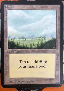 25 basic lands - Magic the Gathering (A) Alpha Edition Regular 25 basic lands - Image 5