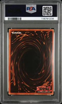 PSA 6 2008 Retro Pack Amazoness Chain Master YuGiOh RP01-EN097 Secret Rare - Image 2