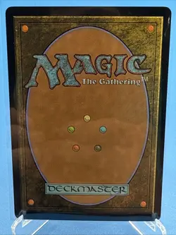 Wan Shi Tong, Librarian - Borderless FOIL MTG Avatar: TLA Near Mint / M - 0320 - Image 2