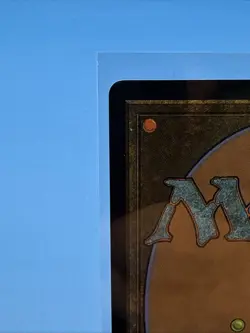 Wan Shi Tong, Librarian - Borderless FOIL MTG Avatar: TLA Near Mint / M - 0320 - Image 3