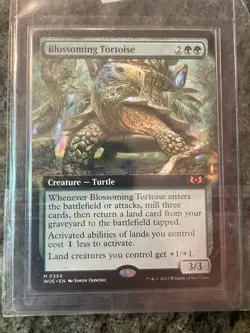 Blossoming Tortoise Wilds of Eldraine Extended Art, Near Mint - Image 1