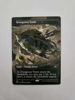 Overgrown Tomb (Borderless) - Unfinity (UNF)NM REG - Image 1