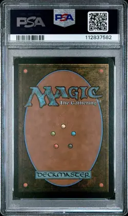 PSA 8.5 Gandalf the White Poster 0732 M Borderless, MTG LotR Lord of the Rings - Image 2