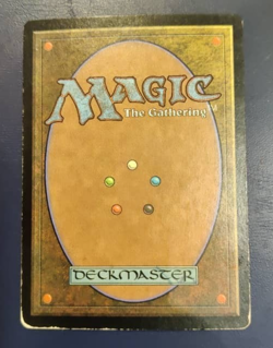 MTG Chinese 7th Edition FOIL Island Signed Richard Garfield - Image 2