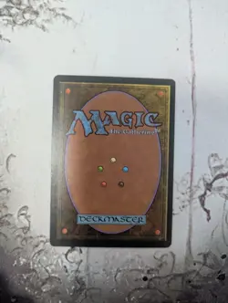 Soldevi Excavations Alliances Regular - Image 2