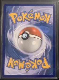 Pokemon TCG Reshiram, Zekrom & Kyurem Black Star Promo JUMBO Card In Top Loader - Image 3