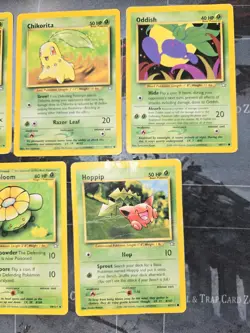 Neo Genesis 5 Card Lot Bayleef, Chikorita, Oddish, Skiploom, Hoppip HP/DAM - Image 3