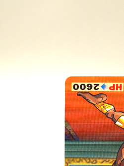 Dhalsim 33 Street Fighter II 1992 Carddas Trading Card Japan CAPCOM BANDAI C872 - Image 5