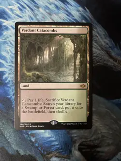 MTG Verdant Catacombs Modern Horizons 2 260/303 LP - Image 1