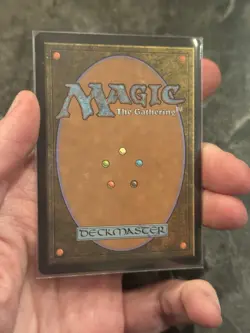 The Cabbage Merchant - Extended Art #203 - Avatar: Eternal - NM MTG - Image 2