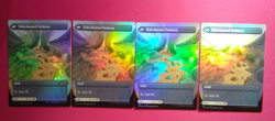 MTG 4x FOIL Barkchannel Pathway (Borderless) Secret Lair Series NM - Image 2