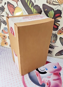 SEALED Pokemon TCG First Partner Pack Kalos Case(x12)- 3 Jumbos/2 Packs|24 packs - Image 2