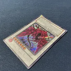 YUGIOH • BLACK ROSE DRAGON • SECRET RARE • CT05-EN003 • LIMITED - Image 5